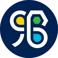 Renegade Brands USA, Inc. logo