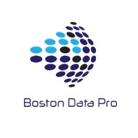 Boston Data Pro, LLC logo
