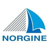 Norgine logo