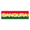 Bangura Solutions logo