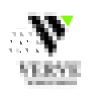 Verve Search Group logo