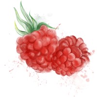 Raspberry Creek Fabrics logo