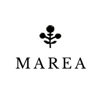 Marea by Liz Joy logo