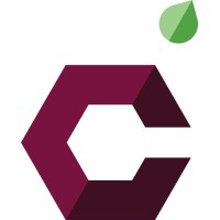 Cherry Talent Group logo