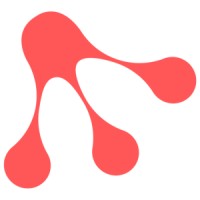 Red Frog Solutions logo