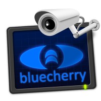 Bluecherry logo