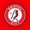 Bristol City Women logo